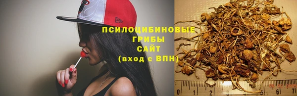 бошки Переславль-Залесский