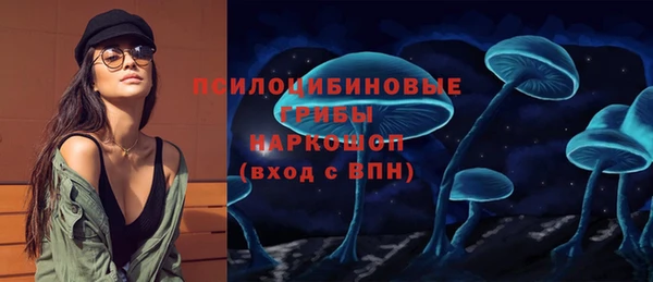 МДПВ Пестово