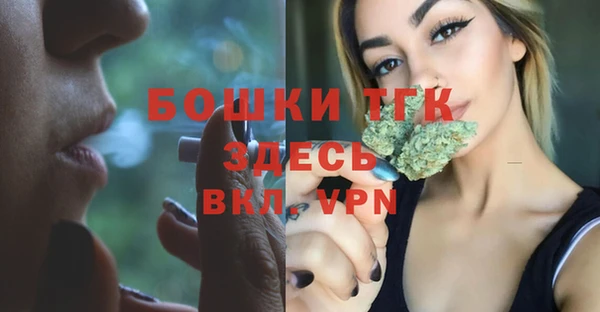 МДПВ Пестово