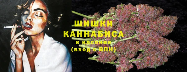 МДПВ Пестово