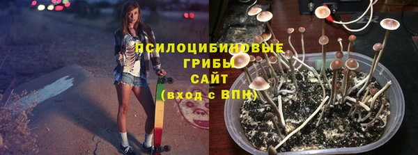 МДПВ Пестово