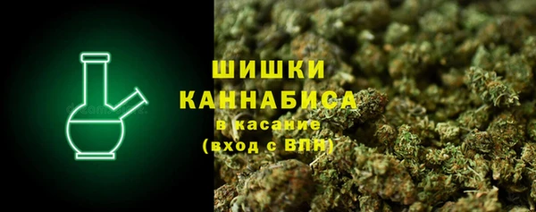МДПВ Пестово